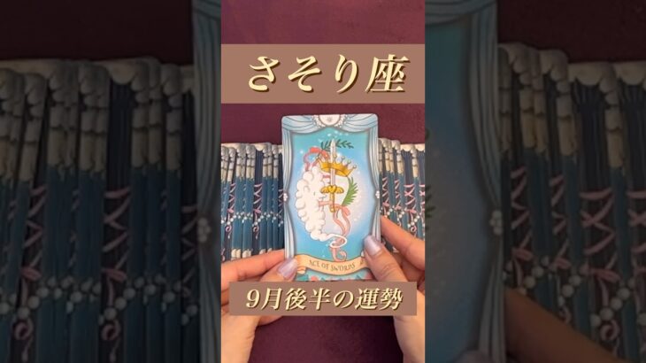 【さそり座】2024年9月後半の運勢★ダイジェスト〜気づいてください！あなたにとっての成功への道へ歩き出すのは今です‼️