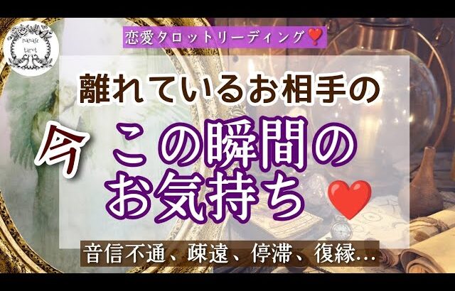 【タロット】🕊離れているお相手の今この瞬間のお気持ち❤音信不通、疎遠、停滞、復縁、相手の気持ち、相手の状況、相手の本音