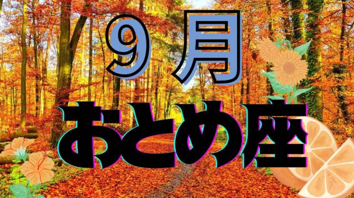 2024年9月 乙女座さん　空気感