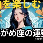 2024年9月の水瓶座♒️タロットリーディング