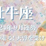 【おうし座】2024年9月運勢　衝撃😳⚡稲妻が走る…天啓を受けるとき💌ようやく「答え」を見つける、自分の使命に目覚めるとき✨咲く場所を探す、心のままに大好きな旅に出る🌈【牡牛座 ９月】【タロット】