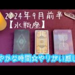 【水瓶座】2024年9月前半の運勢★広い視野で俯瞰して穏やかに過ごせるとき‼️人と関わるなかでやりがいを感じられる✨お仕事に向かう気持ちに変化ある方も😌