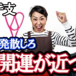 異次元のやり方で開運する干支！十二支を風水で解説。