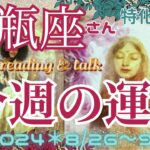 ♒️水瓶座さん特化型【今週の運勢】2024＊8/26〜9/1🌾豊穣の龍神様からメッセージ🌾『ダラダラムダ話し』#8