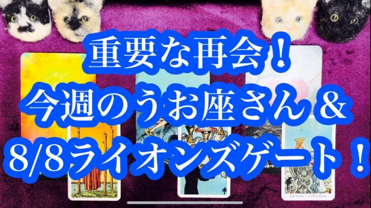 才能が開花します！今週のうお座さん & 8月8日のライオンズゲートについて！Your talent will bloom! About this week’s Pisces & Lionsgate.