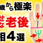 【手相】６０歳以降の人生を楽しむ！幸福な老後手相４選【太陽覇王線】