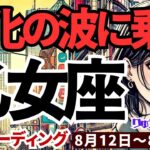 【乙女座】♍️2024年8月12日の週♍️変化の波に乗る。新しい事を受入れ、チャンスを手にする。タロットリーディング