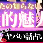 ガチ超深掘り❣️異性・恋愛対象視から見た❤️エロスから本質まで💋あなたの性的魅力💋やばっ‥【辛口あり♦︎有料鑑定級】