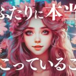 ➳❤︎恋愛タロット :: 今ふたりに本当に起こっていること。超絶リアルチェック✨🙀 見た時から3ヶ月！これからどうなる？📱あの人からのメッセージ＆すぐ来るラッキーデー付💕🔮 ( 2024/8/26)