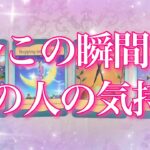 【最新✨恋愛💖】今この瞬間のあの人の気持ち💖タロットカードでズバリ❣️リーディングします🔮💫