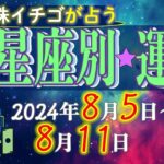 ★忖度なし★2024年8月5日〜8月11日の星座別の運勢★運気を上げるアドバイスつき★