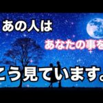 【大暴露😳】今あの人はあなたをこんな風に見ているようです。個人鑑定級に当たる！恋愛タロット占い ルノルマン オラクルカード細密リーディング