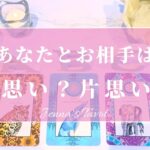 ハッキリお伝えします🙏辛口あり⚠️【恋愛💕】あなたとお相手は両思い？片思い？【タロット🔮オラクルカード】片想い・好きな人・あの人の気持ち・本音・復縁・複雑恋愛・音信不通・曖昧な関係・カードリーディング