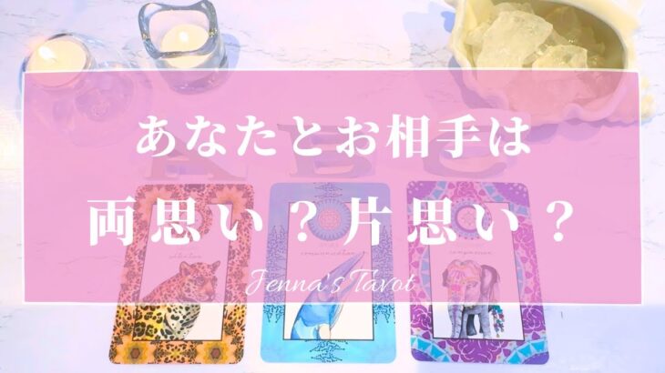 ハッキリお伝えします🙏辛口あり⚠️【恋愛💕】あなたとお相手は両思い？片思い？【タロット🔮オラクルカード】片想い・好きな人・あの人の気持ち・本音・復縁・複雑恋愛・音信不通・曖昧な関係・カードリーディング