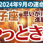 【双子座】2024年9月の総合運　🌟試練を超えて見つける幸運💫