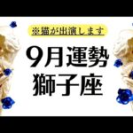 実はすべて順調❗️獅子座がまた伝説を更新してしまう。ずっと神回。神に贔屓されてるとしか思えない９月全体運勢♌️仕事恋愛対人不安解消【個人鑑定級タロットヒーリング】