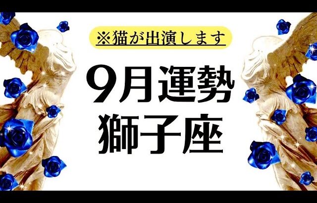 実はすべて順調❗️獅子座がまた伝説を更新してしまう。ずっと神回。神に贔屓されてるとしか思えない９月全体運勢♌️仕事恋愛対人不安解消【個人鑑定級タロットヒーリング】