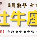 【大吉報‼️😲】そのモヤモヤが吹っ切れる❗️ 牡牛座　８月後半タロット占い