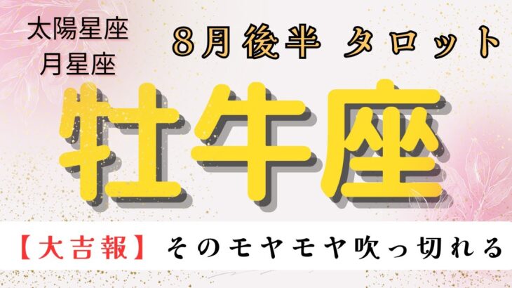 【大吉報‼️😲】そのモヤモヤが吹っ切れる❗️ 牡牛座　８月後半タロット占い