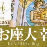 魚座♓希望が叶い嫉妬されるくらいの大幸運🌞もうすぐ訪れる大幸運🌞どんな大幸運が🌞いつ頃訪れる？🌝月星座うお座さんも🌟タロットルノルマンオラクルカード