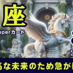 【Pisces】魚座🐟2024年8月★超最高な未来のため急がば回れ