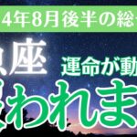 【2024年8月後半魚座の運勢】星とタロットで読み解く恋愛運・金運・健康運・仕事運