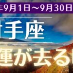 【2024年9月 射手座の運勢】運命が動き出す瞬間！