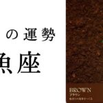 【魚座🌿9月の運勢】驚異のシンクロ起こりました😳最後のカードも、鳥肌もの！！2024年タロット占い