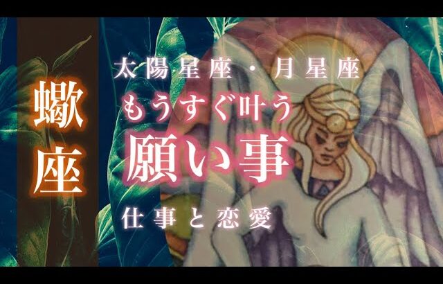 ♏️9月の蠍座さん🌟願望実現 安定した実力を発揮できます ムダを省いてこだわりを貫く🌟しあわせになる力を引きだすタロットセラピー