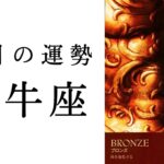 【牡牛座🌼8月の運勢】号泣必須の神展開😭魂からのメッセージが届けられています🕊️2024年タロット占い