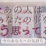 今あの人はあなたの事をどう思ってる？今のあの人の気持ち 【恋愛・タロット・オラクル・占い】