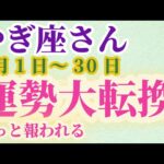 【山羊座さんの総合運_9月1日～30日】 #山羊座 #やぎ座