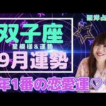 ♊️【9月双子座さん】今年イチの恋愛運💖愛情が盛り上がる⤴️✨火星が抜けてホッと一息😮‍💨お家時間の充実✨