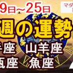 【今週の運勢8月19日から25日】射手座 山羊座 水瓶座 魚座