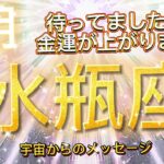 水瓶座9月♒️金運が上がります⭐️宇宙からのメッセージ “I am thankful for my abundance and seek ways to give back.”