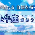 牡牛座♉️９月前半🪽モヤモヤや霧が晴れていく時🌈もっと自信を持って大丈夫✨あなたは出来る‼️【全編字幕付きタロットリーディング】