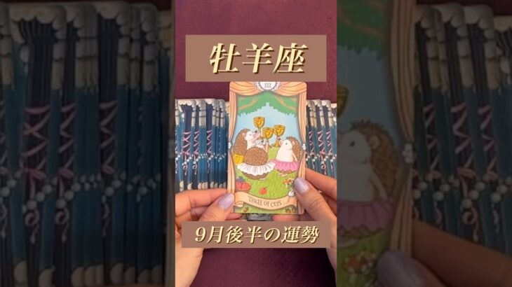 【牡羊座】2024年9月後半の運勢★ダイジェスト〜周囲の人に支えられ前に進めるとき‼️