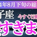 【獅子座】2024年8月下旬のしし座の運命を紐解く！獅子座の未来を照らすメッセージ🌟