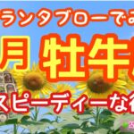 【グランタブローでみる💫】🔯牡牛座さんの8月の運勢リーディング🔯スピーディーな行動🏇あなたの夢や理想を、行動にうつす🌞ルノルマン・オラクルカードリーディング💕