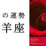 【山羊座🌿9月の運勢】こんな展開見たことない😳大アルカナ祭りの強力すぎるエネルギー✨2024年タロット占い