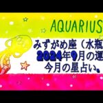 みずがめ座（水瓶座) 2024年9月の運勢｜今月の星占い.