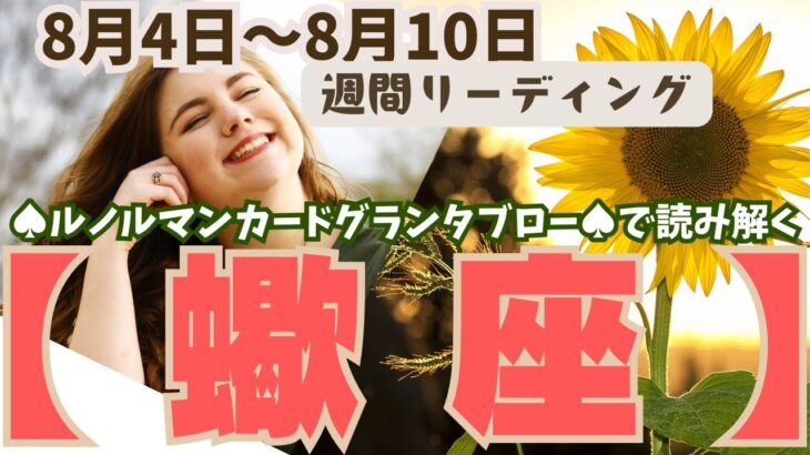 ❤️🕊️【さそり座♏さん】🌱《8月4日～8月10日》週間リーディング🌱2024年12星座別リーディング✨♠ルノルマンカードグランタブロー♠タロットカード・オラクルカードでもみていきましょう🔮蠍座運勢