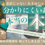 【あなたに言えない本当の気持ち】実はあの時本音を話してた！⭐️ある意味お相手の取説⭐️【分かりにくいあの人の本音】タロット占い 恋愛　No.493