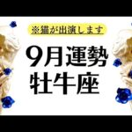 牡牛座♉️あ～ぜんぶ正しかった！！！本当に良かった～～！！金運も最高！！成長と実りを確信する最高の９月全体運勢♉️仕事恋愛対人不安解消【個人鑑定級タロットヒーリング】