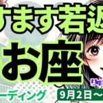 【魚座】♓️2024年9月2日の週♓️心あたたまる時。愛を伝え、開かれる未来。ますます若返る。タロットリーディング