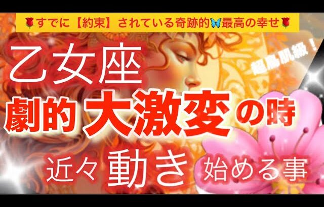 乙女座🪐【超鳥肌級🦋今迄の努力がついに報われる😭】今がどんな状況でも一変する可能性あり❣️奇跡的幸福を引き寄せる⚡️運気上昇🌈深掘りリーディング#潜在意識#魂の声#ハイヤーセルフ