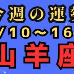 山羊座⭐️今週の占い【これからの成功とは？？】