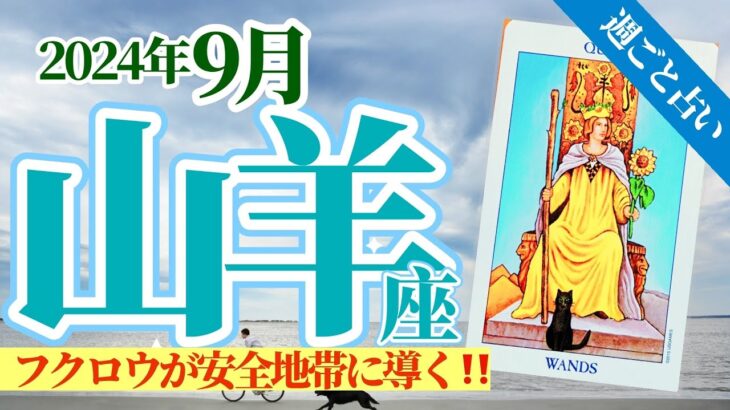 【山羊座9月】フクロウが導く安全地帯🦉‼️揉め事を解決し再び輝くあなたへ✨🥳🎊🔮🧚2024タロット&オラクル《週ごと》