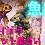 ［9月前半魚座タロット星占い］魚座さん🌞強運が続行💫神レベルにUP中！！