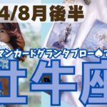 ❤️🕊️【おうし座♉さん】🌱《8月11日～8月31日》８月後半リーディング🌱2024年12星座別リーディング✨♠ルノルマンカードグランタブロー♠タロットカード・オラクルカードもみていきましょう🔮牡牛座